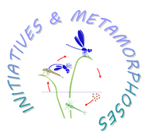 Initiative et métamorphose